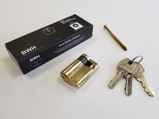 BWH MASTER KEYED EURO CYLINDER 45MM BRASS KEY/BLANK